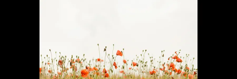 Raghda Mohamed's banner