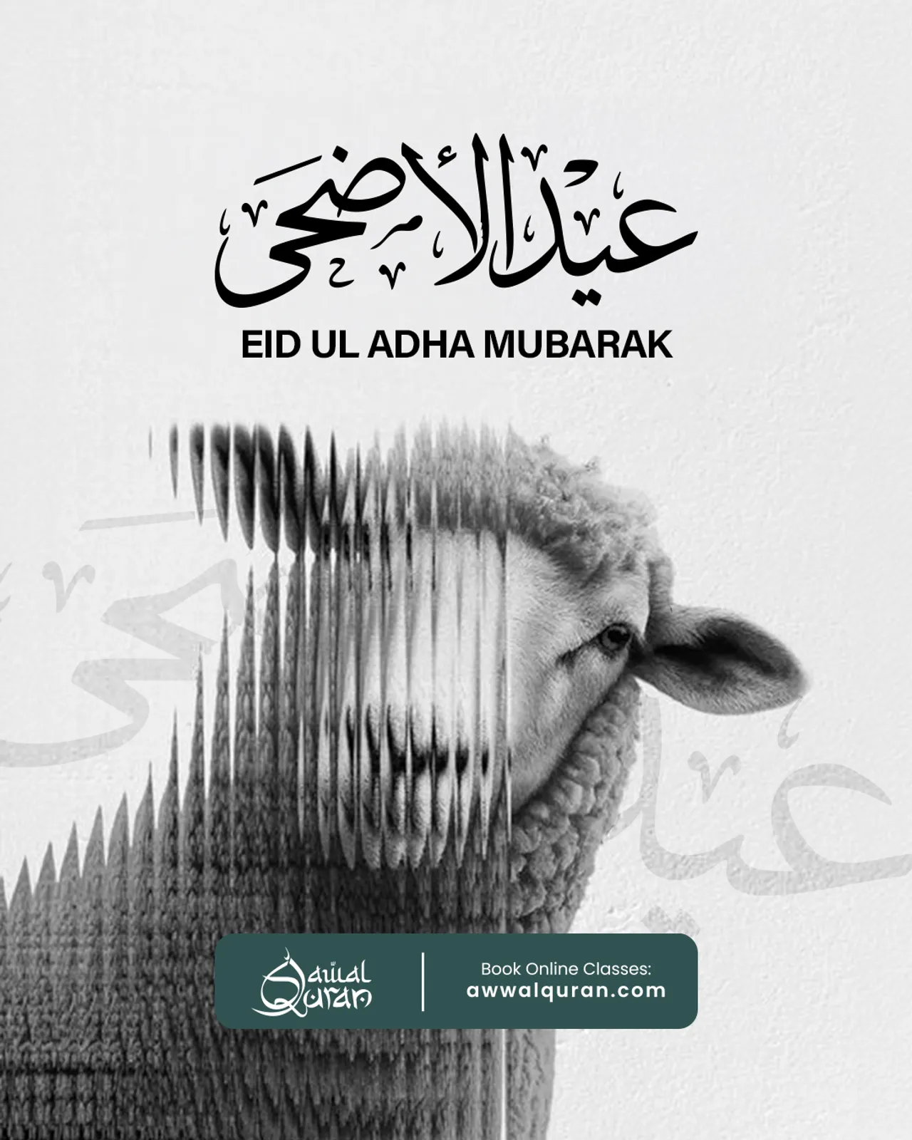 đ⨠Eid Ul Adha Mubarak! â¨đ