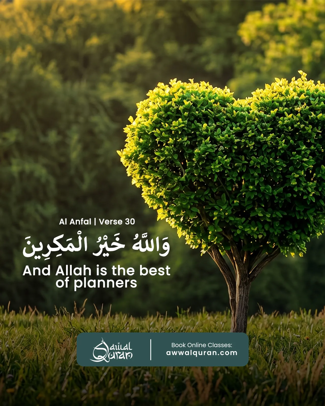 Allah is the Best of Planners.